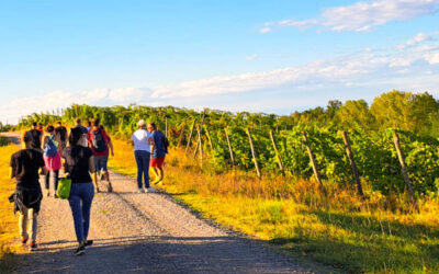 Vigolo Marchese, successo per il trekking del vino e l’anteprima di “Calici di Stelle”